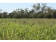 Meandarra QLD 4422