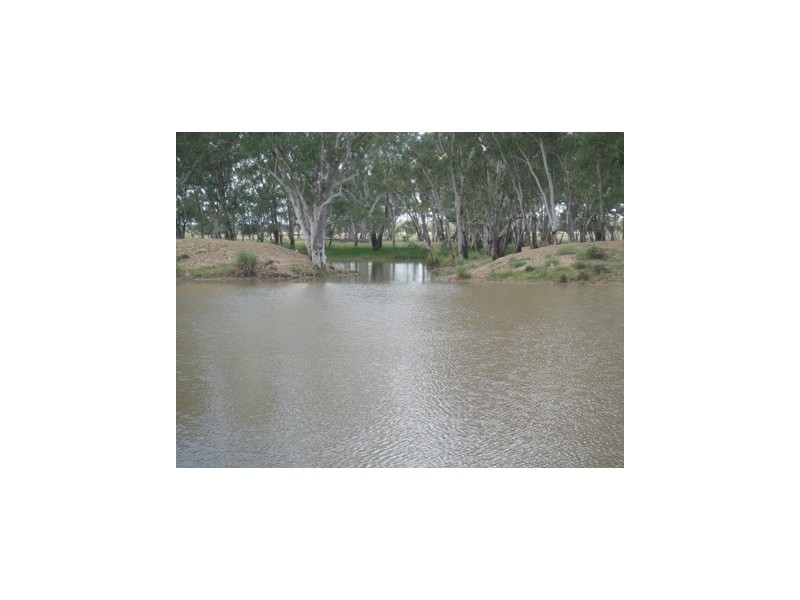 Meandarra QLD 4422