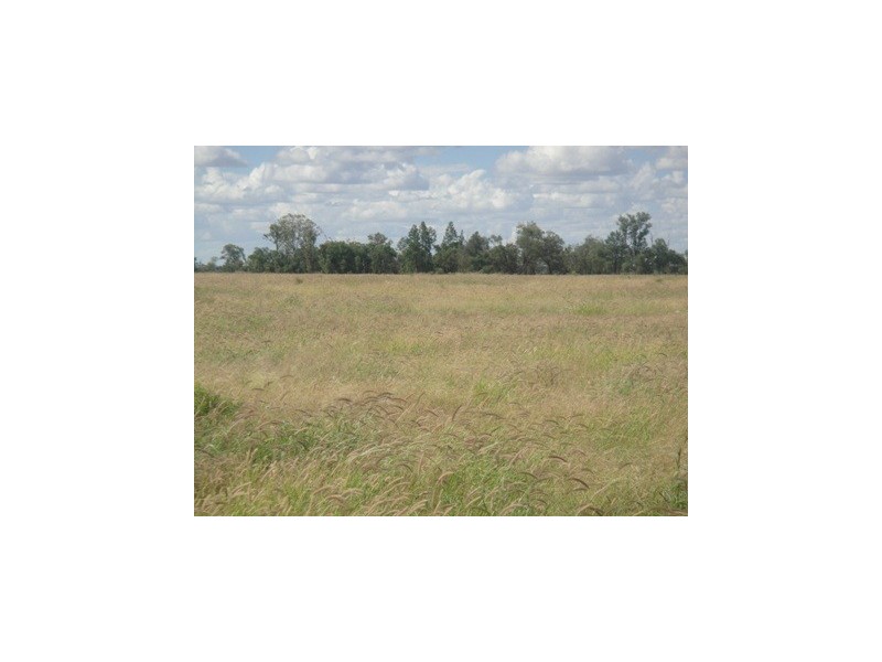 Meandarra QLD 4422