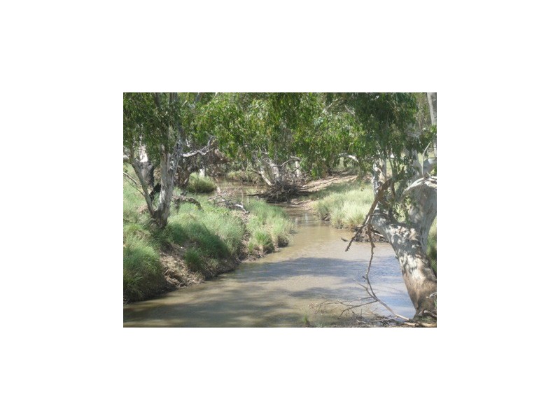 Meandarra QLD 4422