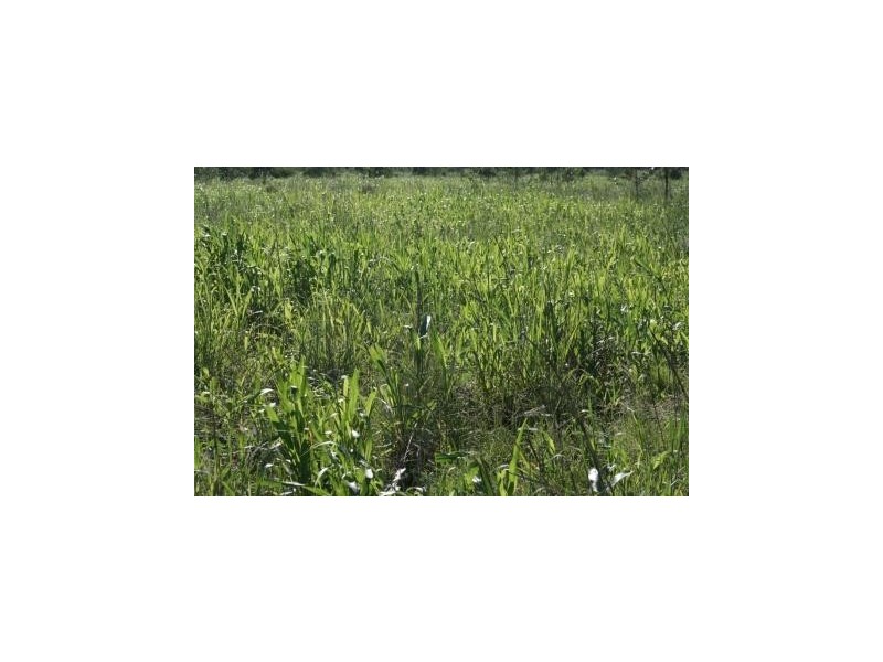 Meandarra QLD 4422