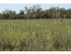 Meandarra QLD 4422