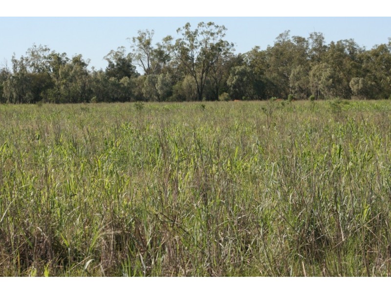 Meandarra QLD 4422