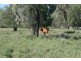 Meandarra QLD 4422