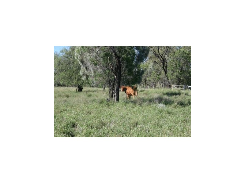 Meandarra QLD 4422