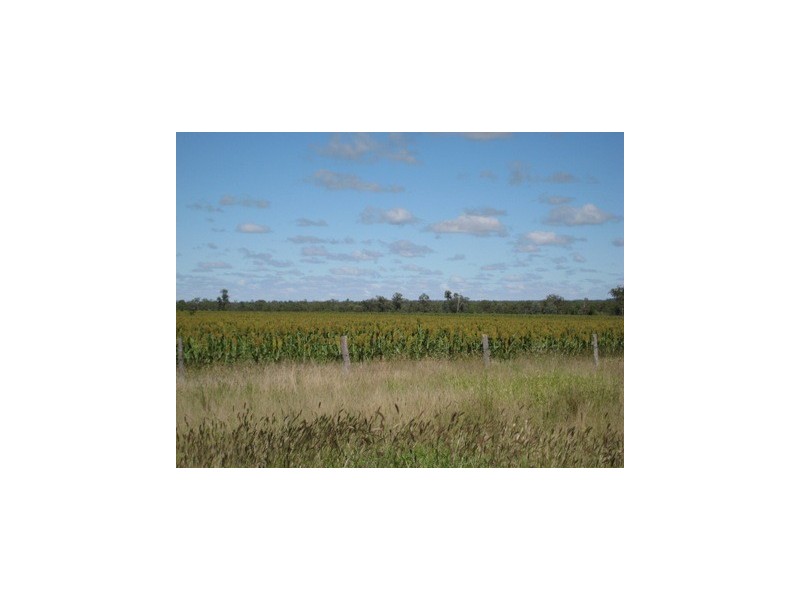 Meandarra QLD 4422
