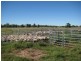 Meandarra QLD 4422
