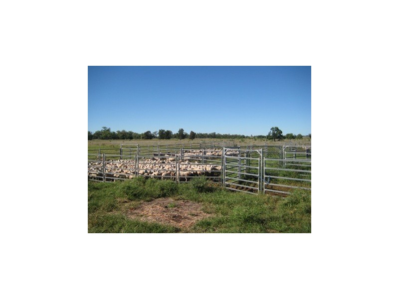 Meandarra QLD 4422