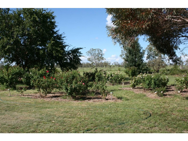 Meandarra QLD 4422