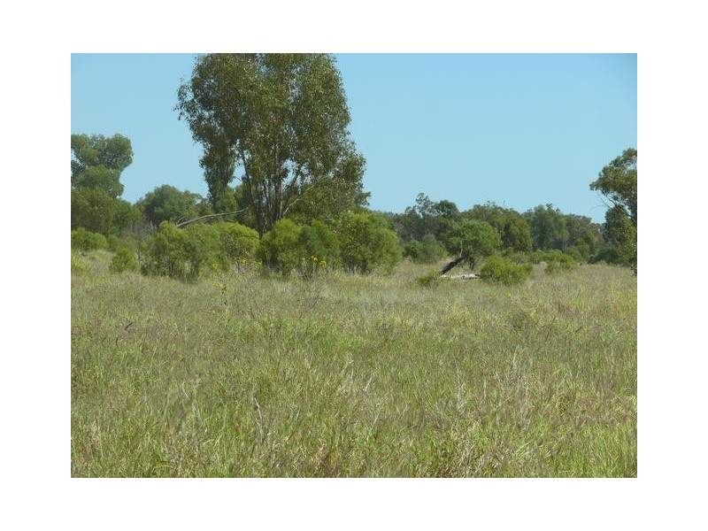 ” Ashling”, Mitchell QLD 4465