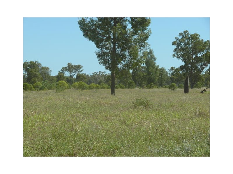 ” Ashling”, Mitchell QLD 4465