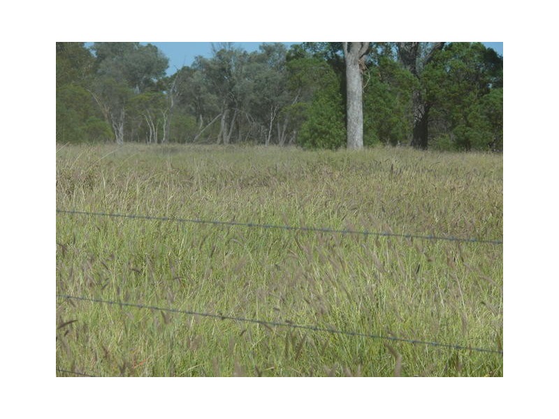 ” Ashling”, Mitchell QLD 4465