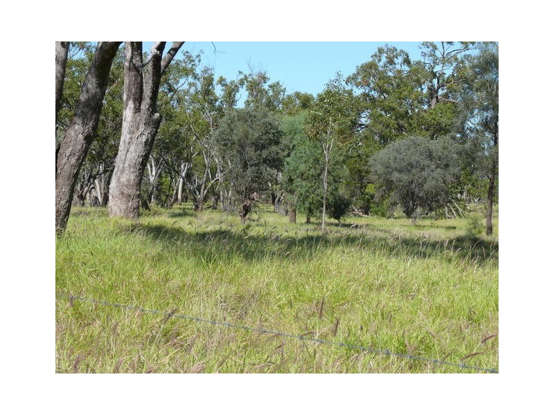 ” Ashling”, Mitchell QLD 4465
