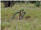 ” Ashling”, Mitchell QLD 4465