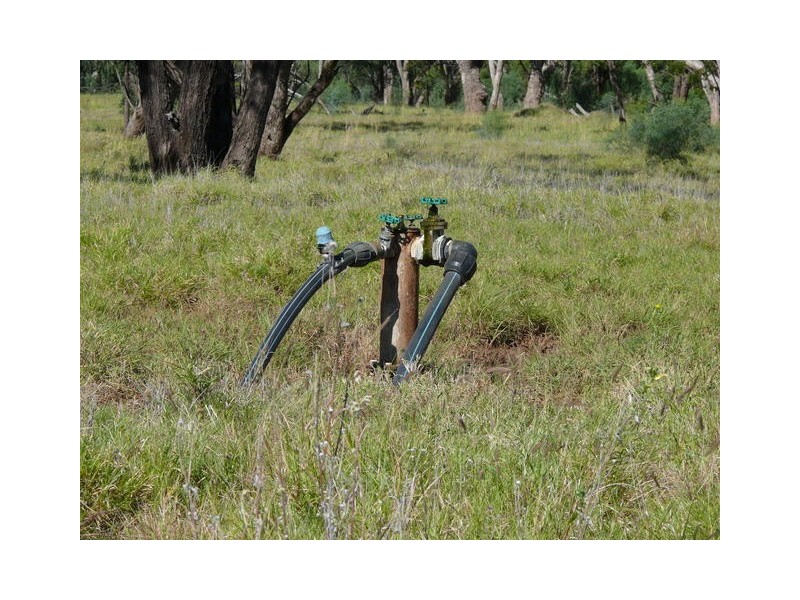 ” Ashling”, Mitchell QLD 4465