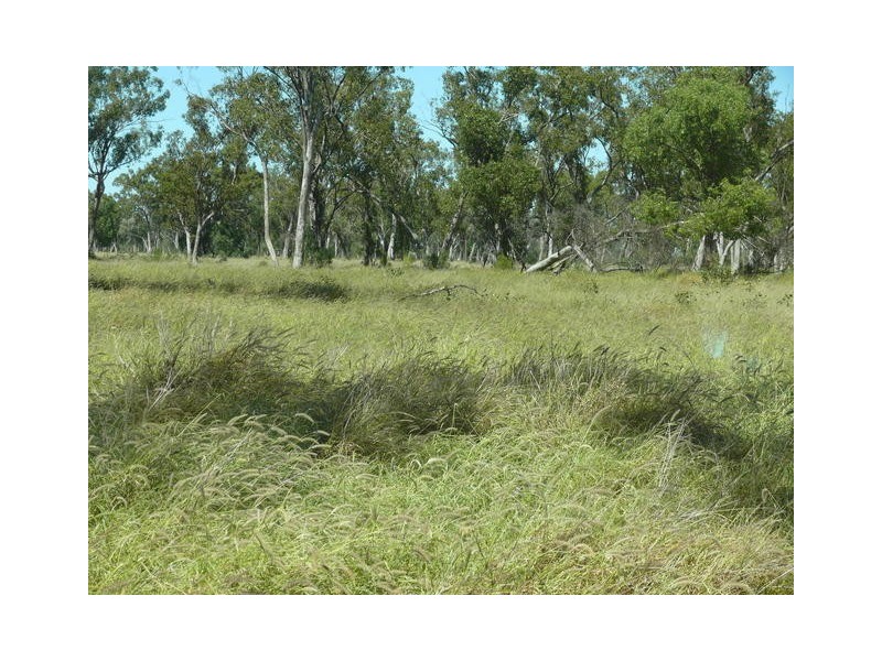 ” Ashling”, Mitchell QLD 4465