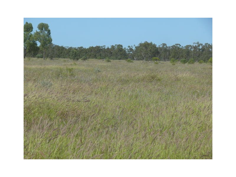 ” Ashling”, Mitchell QLD 4465
