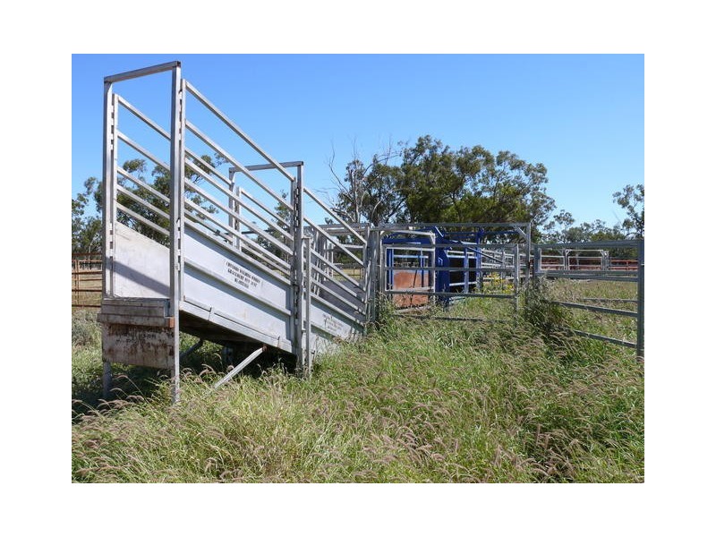 ” Ashling”, Mitchell QLD 4465