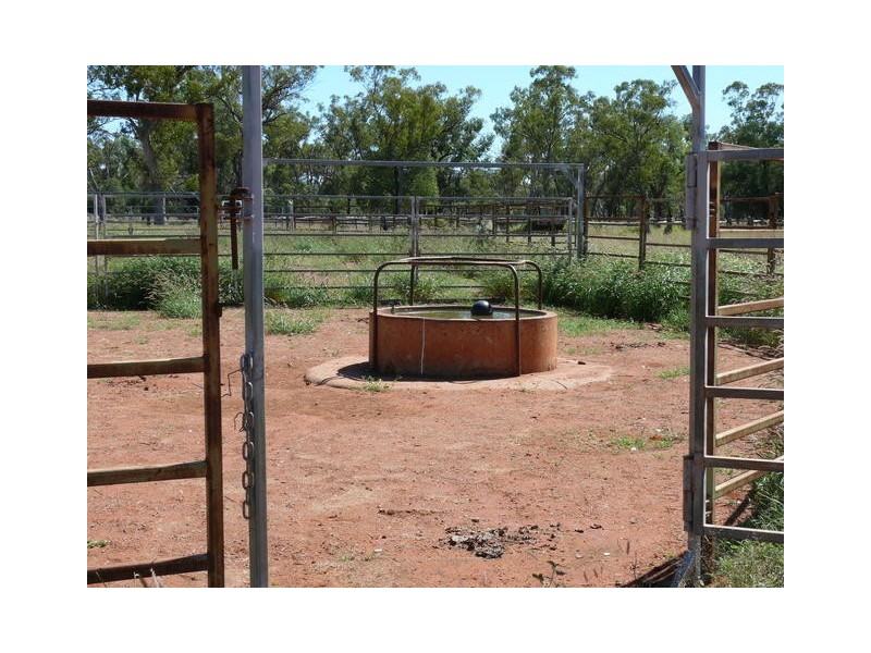 ” Ashling”, Mitchell QLD 4465