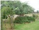 Dalby QLD 4405
