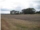 Dalby QLD 4405