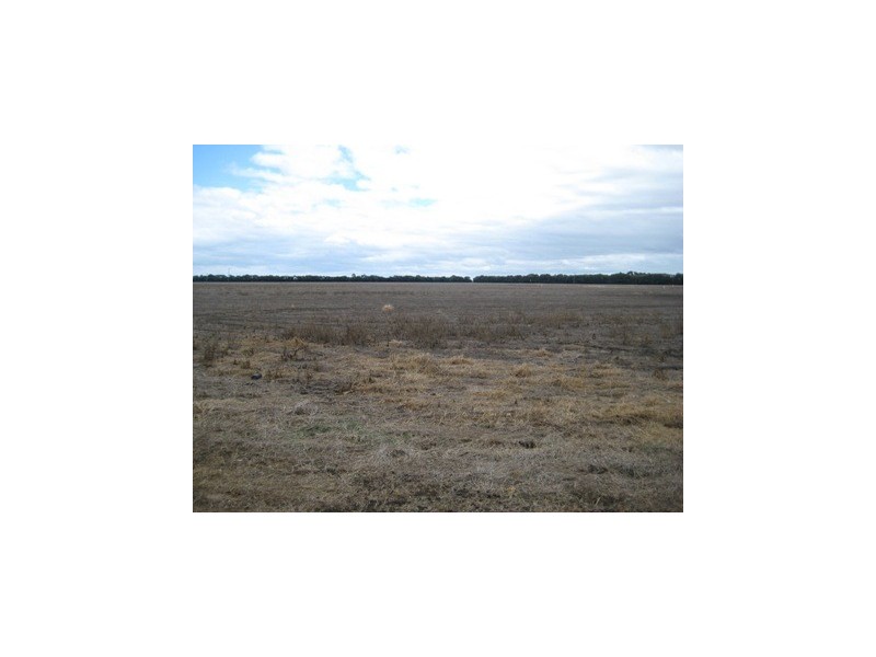 Dalby QLD 4405