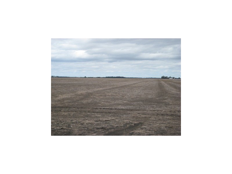Dalby QLD 4405