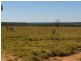 “CLEE HILLS”, Jericho QLD 4728