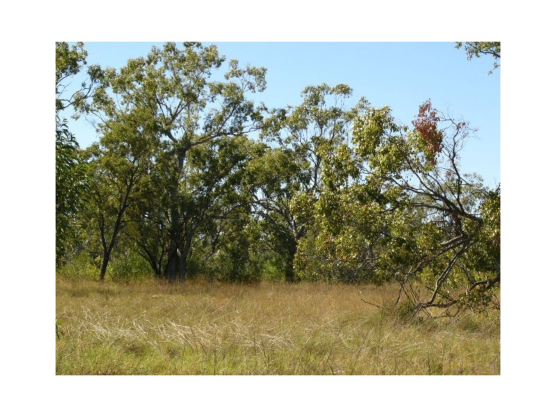 “CLEE HILLS”, Jericho QLD 4728