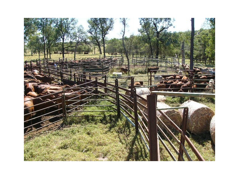 “CLEE HILLS”, Jericho QLD 4728