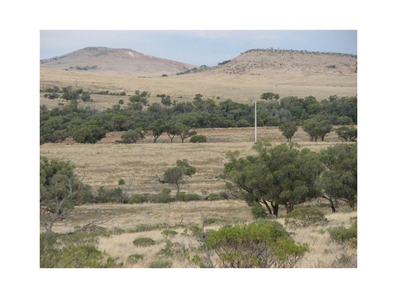 ” Onepah”, Tibooburra NSW 2880