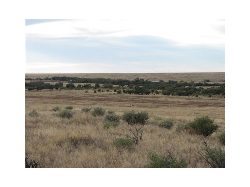 ” Onepah”, Tibooburra NSW 2880