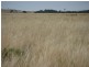 ” Onepah”, Tibooburra NSW 2880