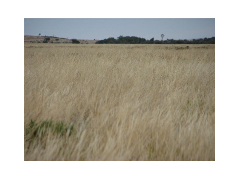 ” Onepah”, Tibooburra NSW 2880