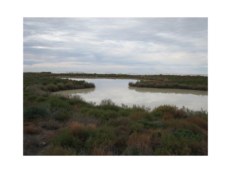 ” Onepah”, Tibooburra NSW 2880