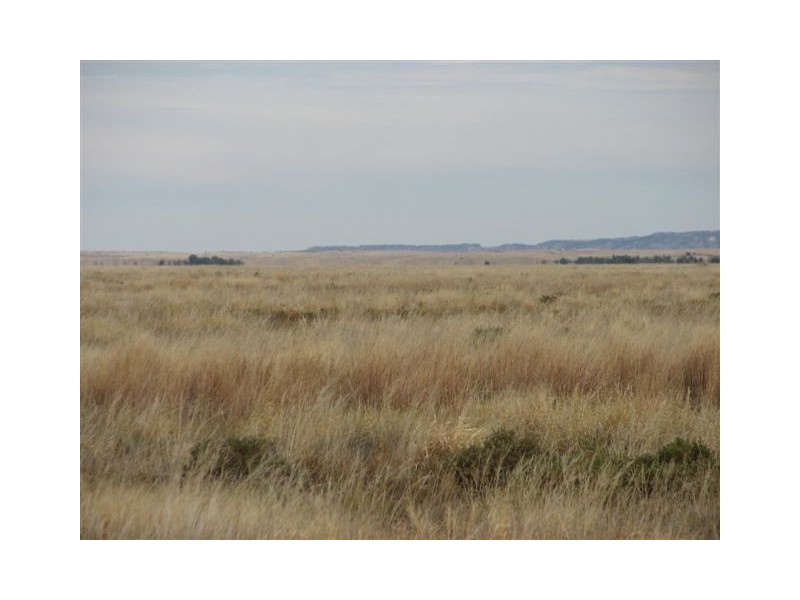 ” Onepah”, Tibooburra NSW 2880