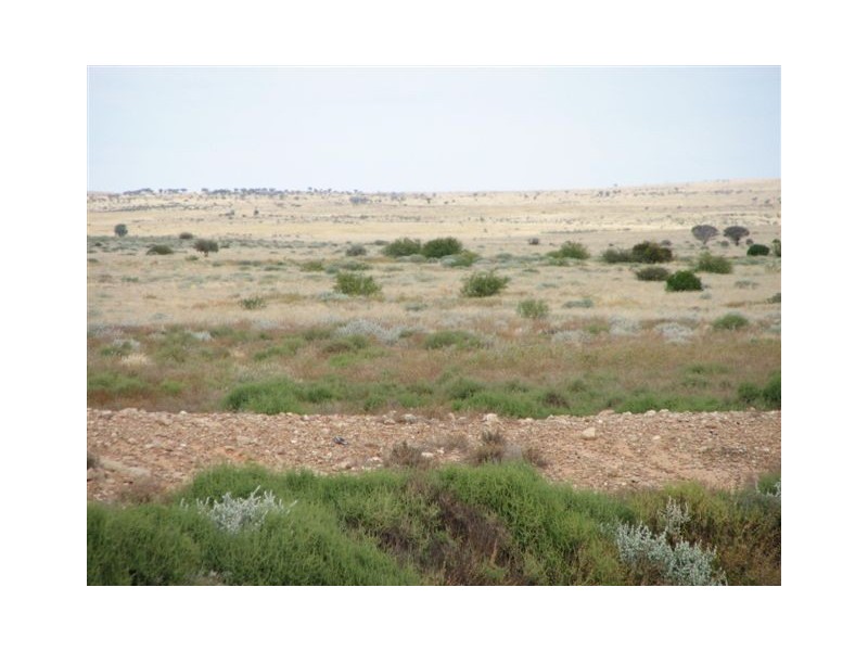 ” Onepah”, Tibooburra NSW 2880
