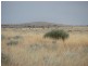 ” Onepah”, Tibooburra NSW 2880