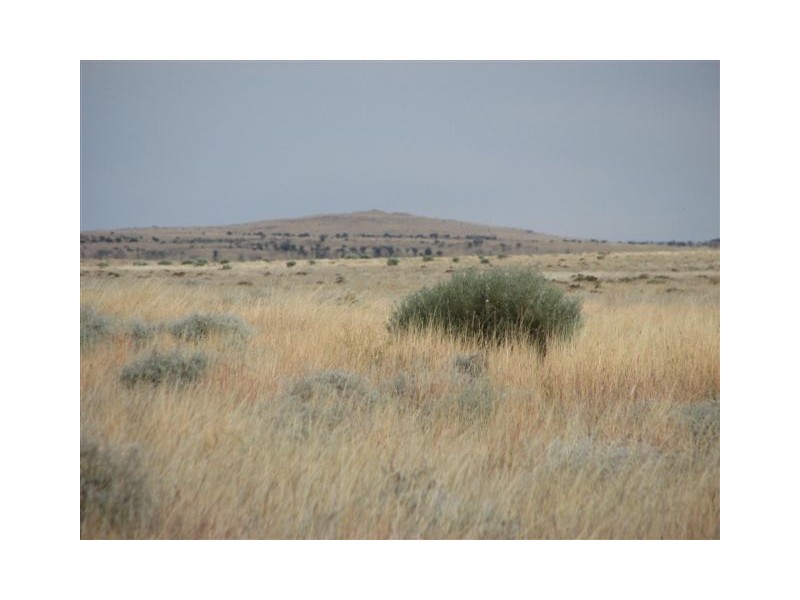 ” Onepah”, Tibooburra NSW 2880