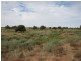 ” Onepah”, Tibooburra NSW 2880