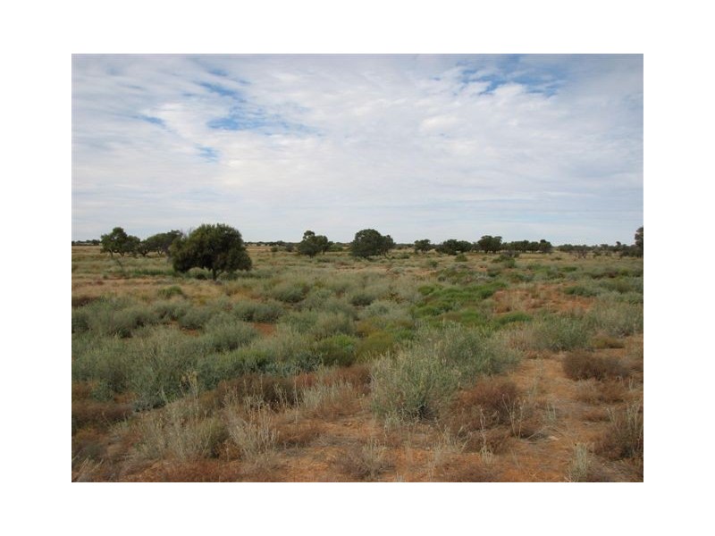 ” Onepah”, Tibooburra NSW 2880