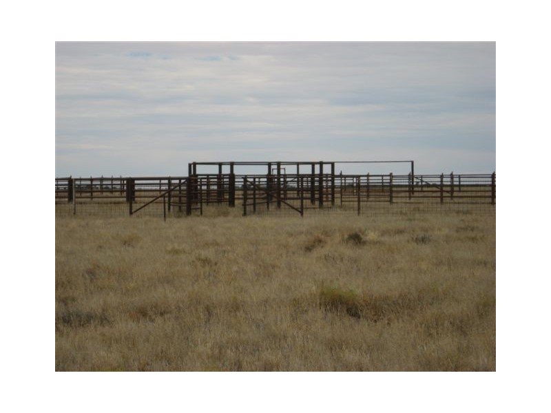 ” Onepah”, Tibooburra NSW 2880