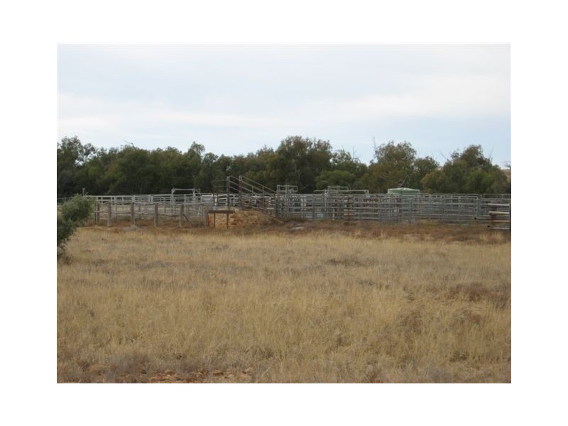 ” Onepah”, Tibooburra NSW 2880