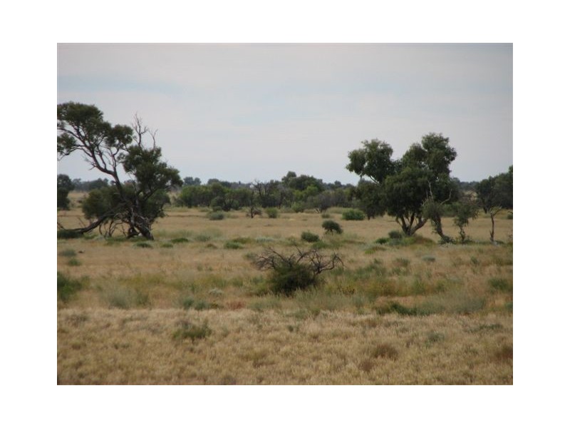 ” Onepah”, Tibooburra NSW 2880