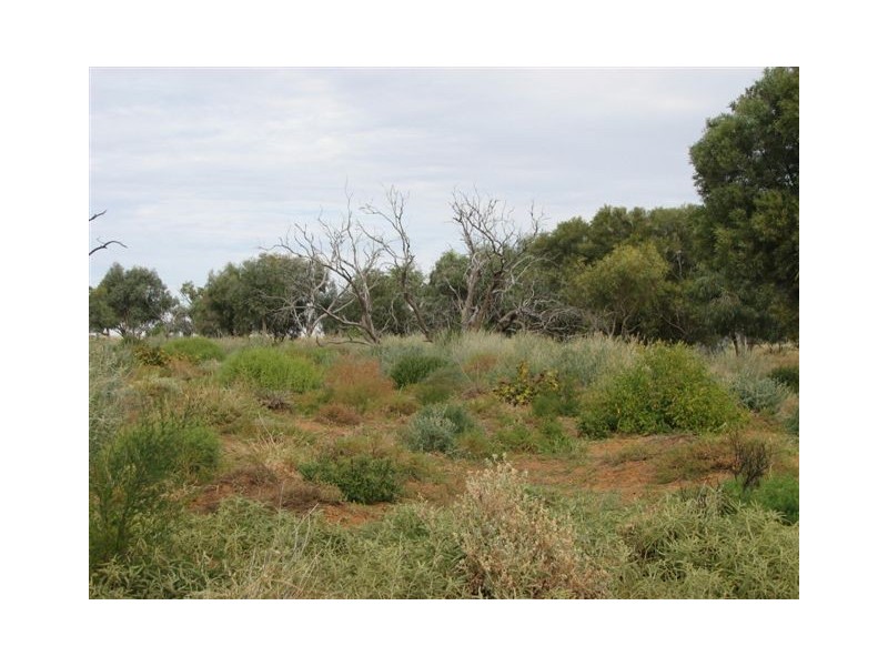 ” Onepah”, Tibooburra NSW 2880