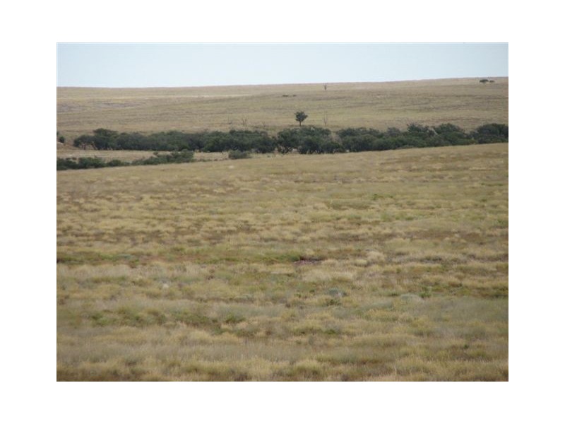 ” Onepah”, Tibooburra NSW 2880