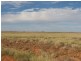 ” Onepah”, Tibooburra NSW 2880