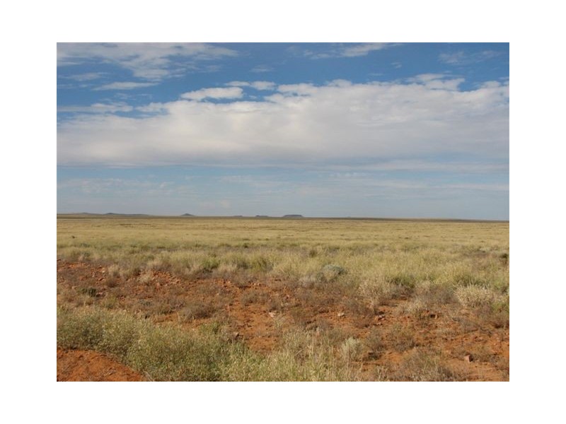 ” Onepah”, Tibooburra NSW 2880