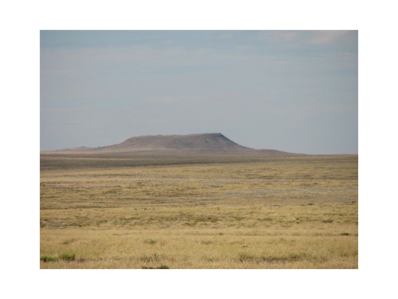 ” Onepah”, Tibooburra NSW 2880