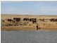 ” Onepah”, Tibooburra NSW 2880